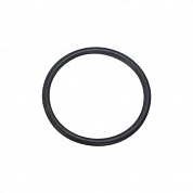 Уплотнительное кольцо Hayward (SX0220Z2)