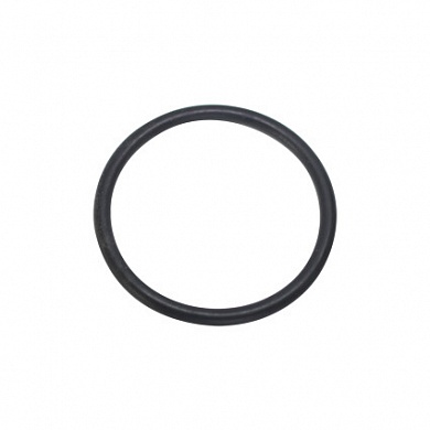 Уплотнительное кольцо Hayward (SX0220Z2)